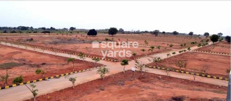 Fortune Butterfly City Tower View 2