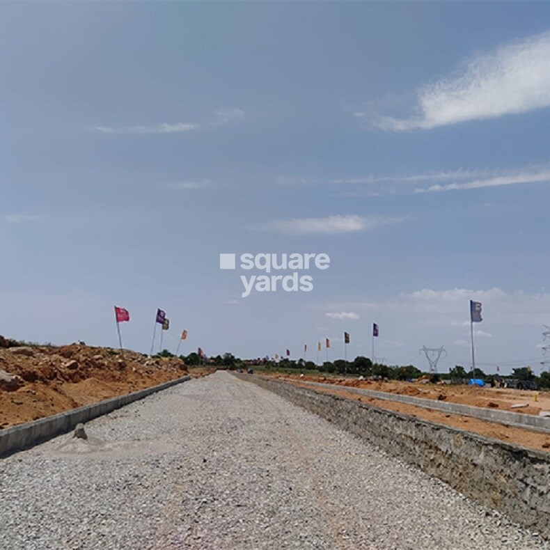 Fortune County Plot Images 1