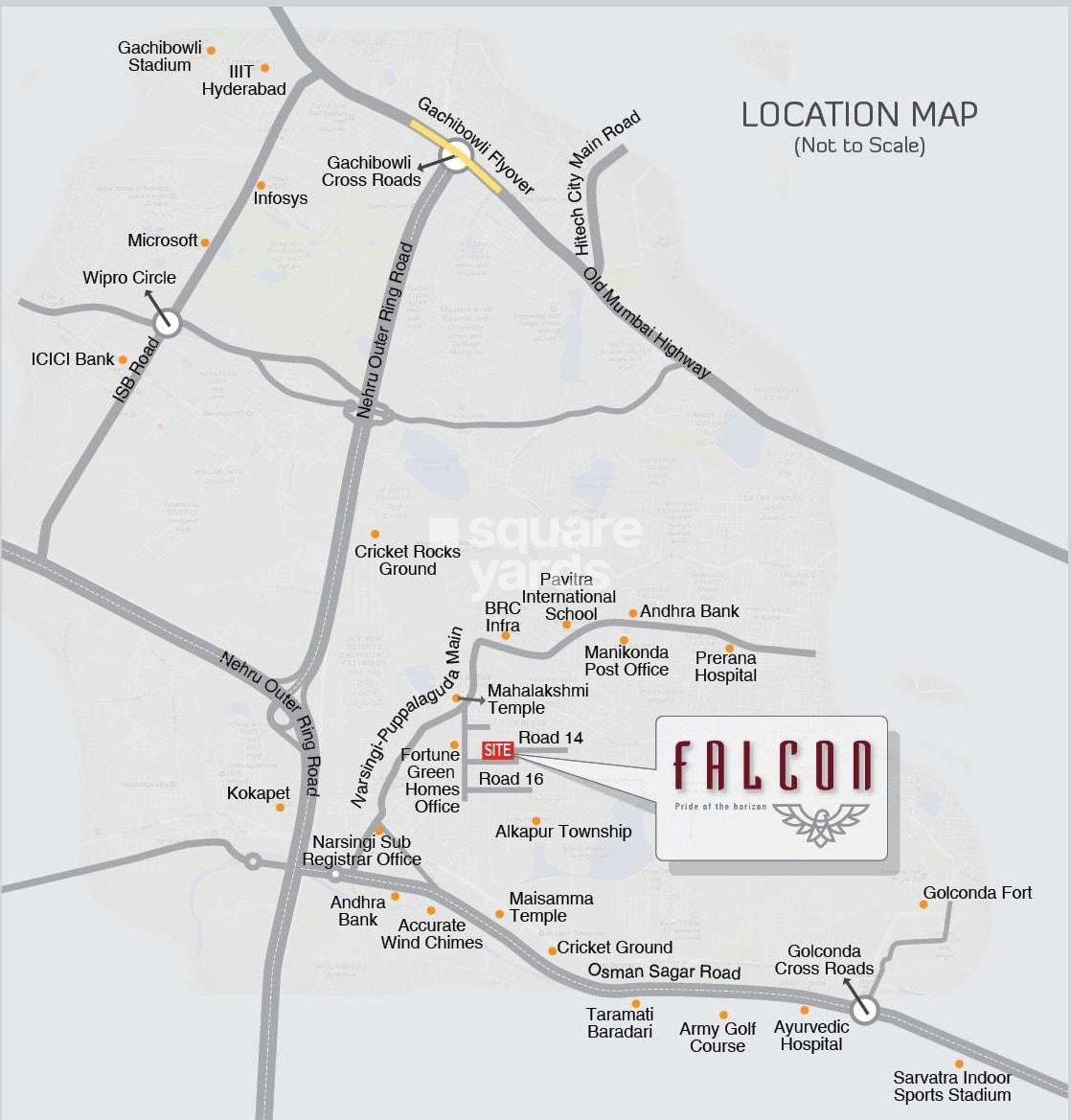 Fortune Green Falcon