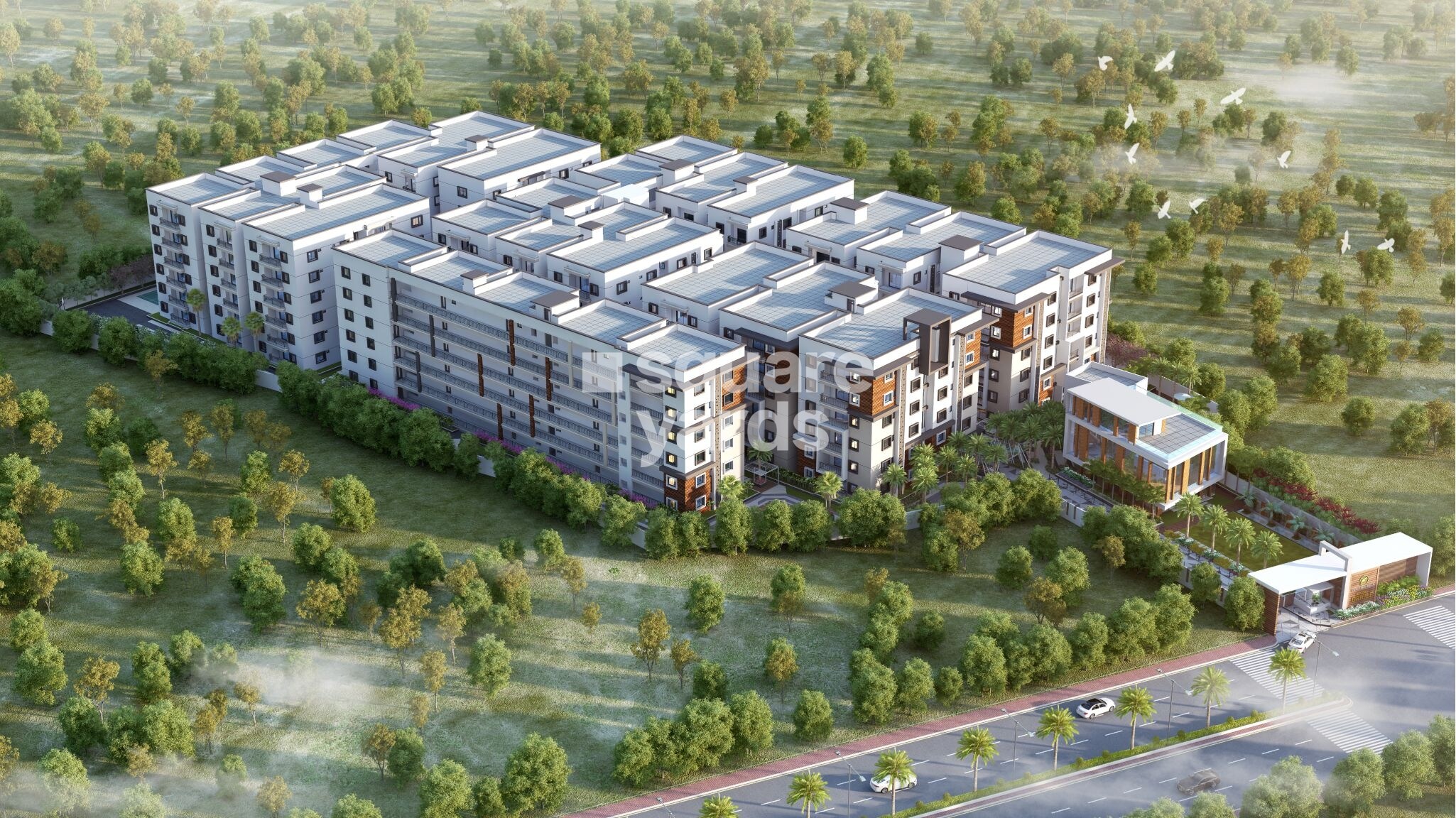 Fortune Green Golden Oriole