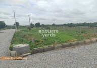 Fortune Pharma County Plot Images