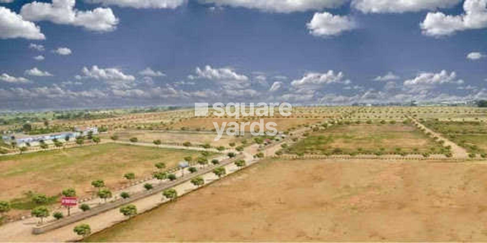 Fortune Sunshine Valley