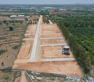 Fortune The Highway Orchards Plot Images