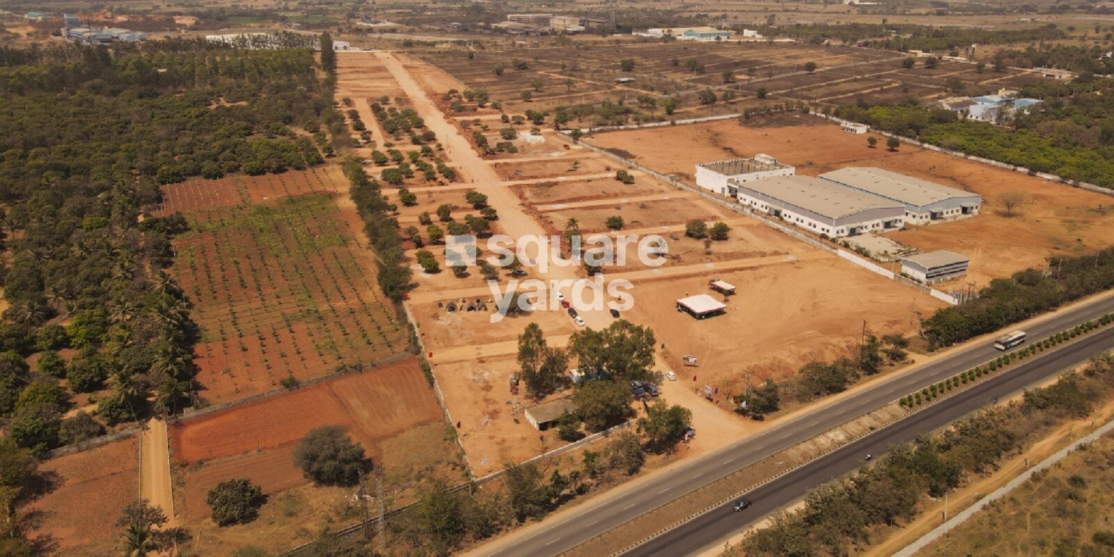 fortune-the-highway-orchards