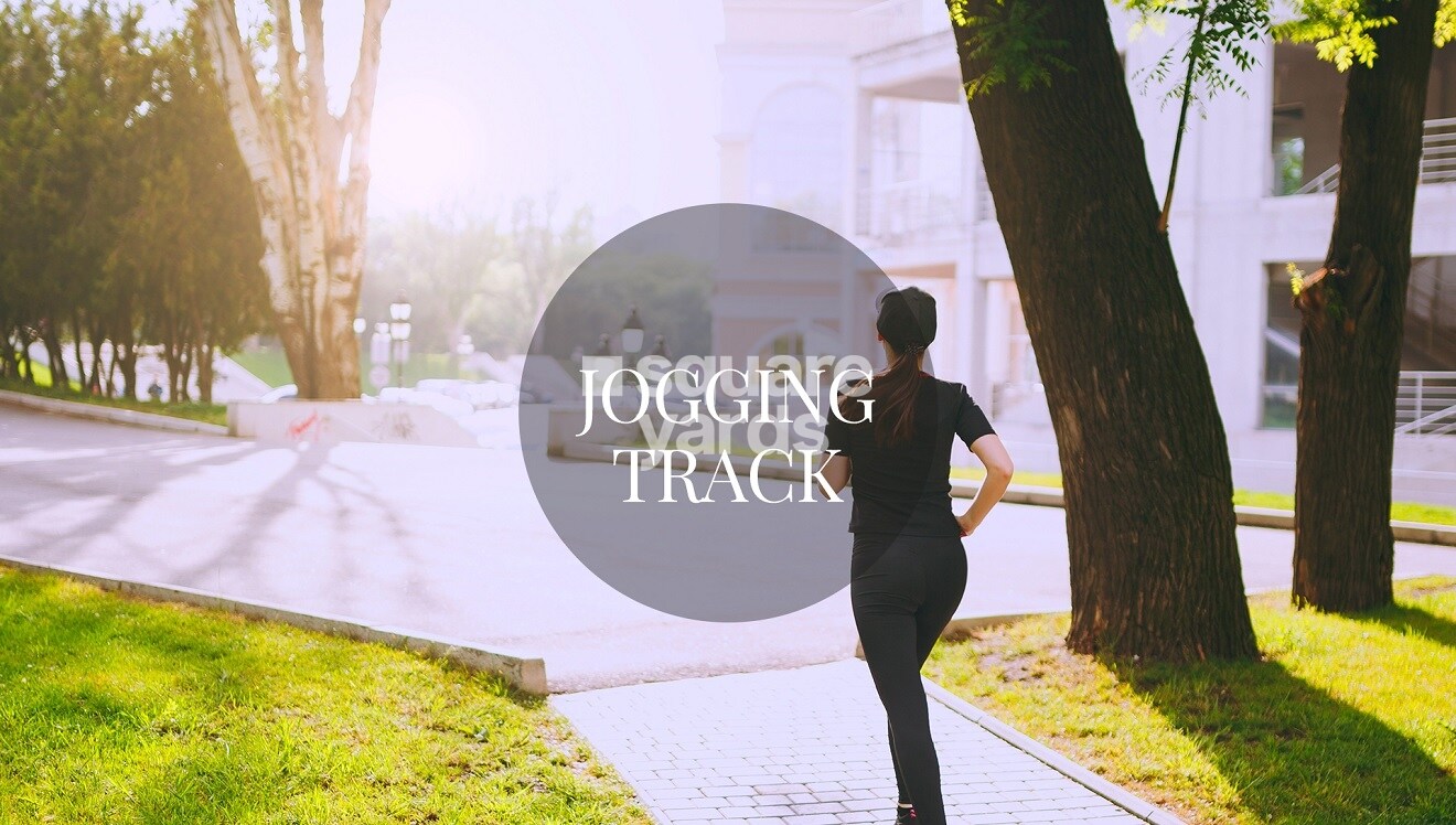 Googee Diamond Hills