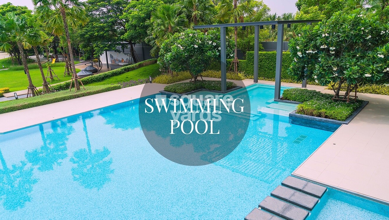 Googee Diamond Hills