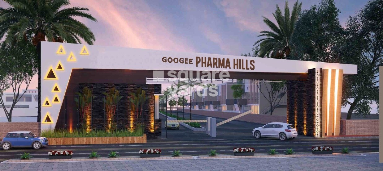 Googee Pharma Hills