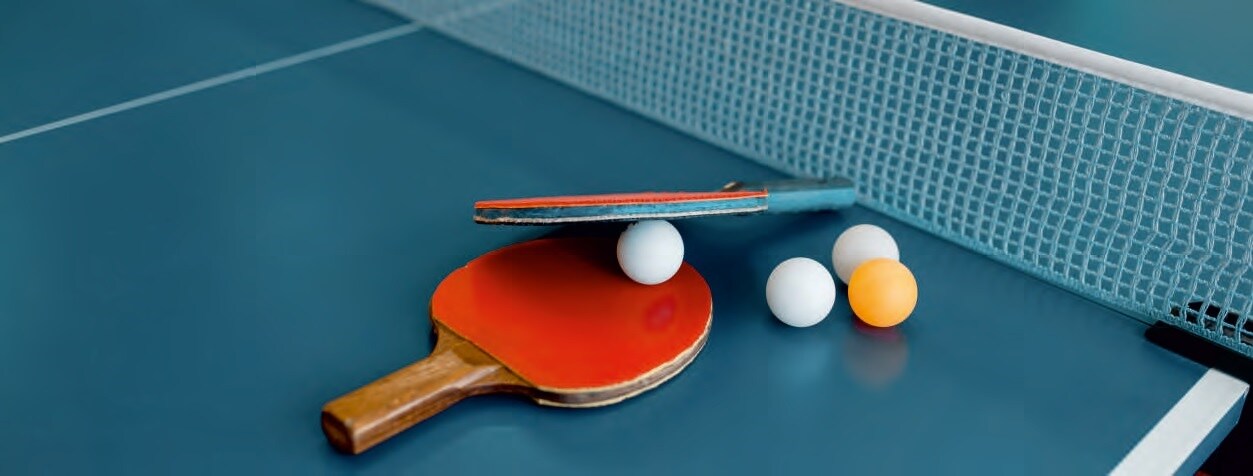 Googee Pharma Township Sports facilities Image 2