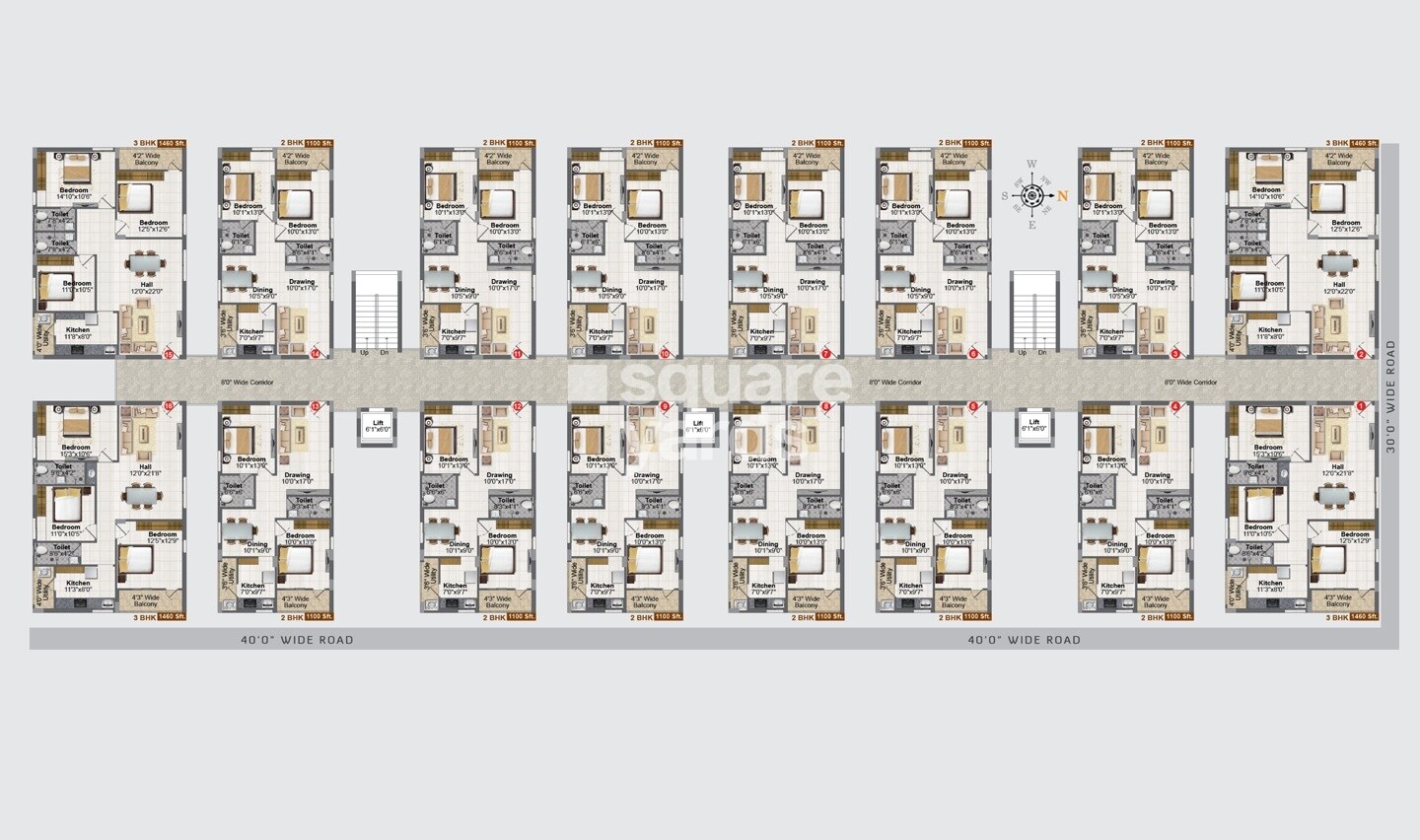 Greater Infra Carnation