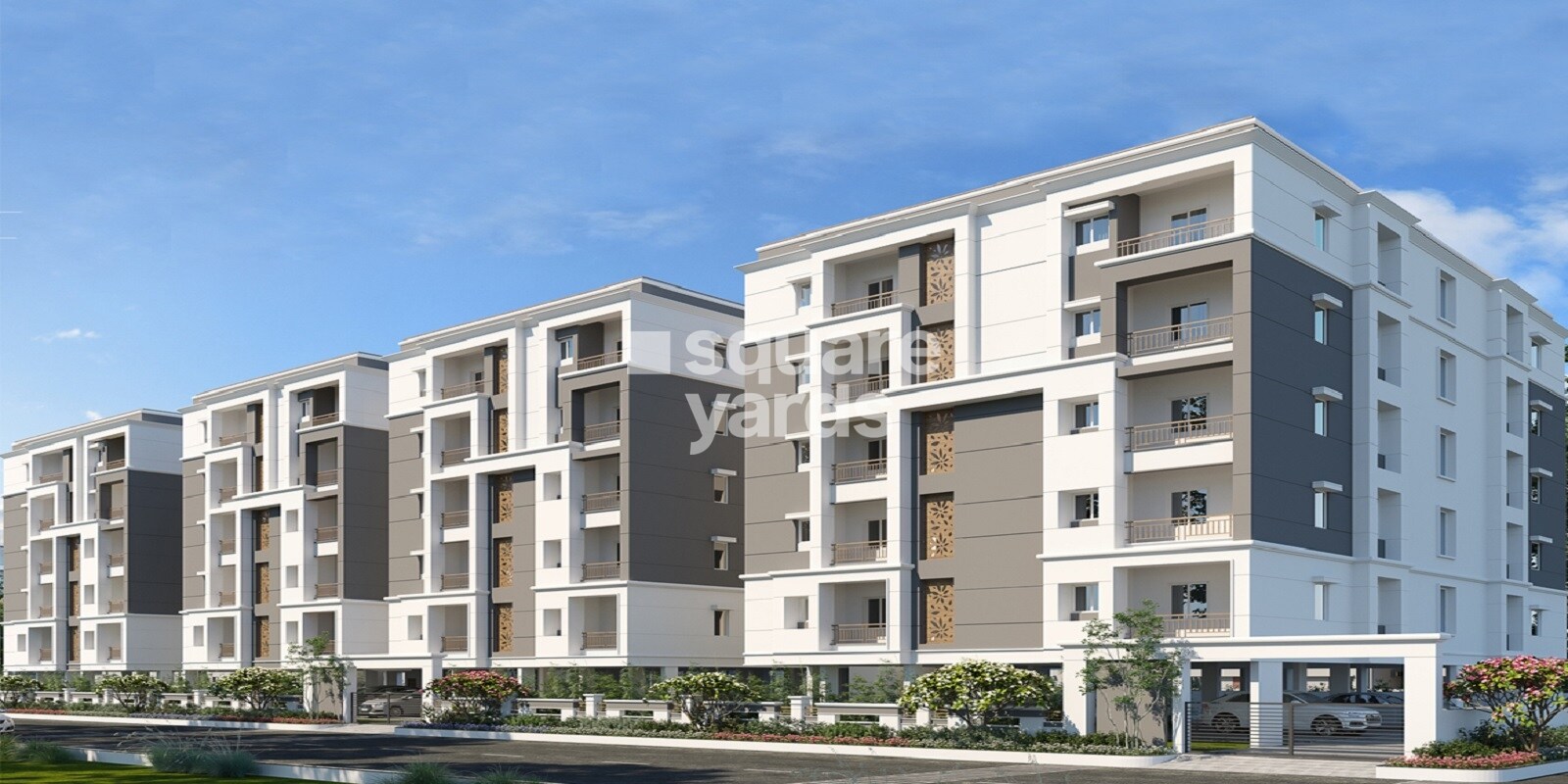 Greater Infra Carnation