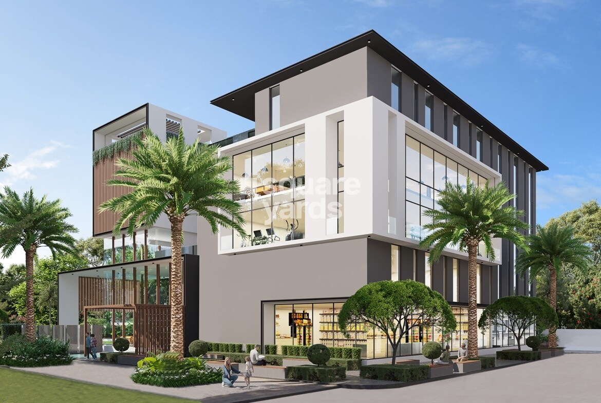 Greater Infra Daffodil