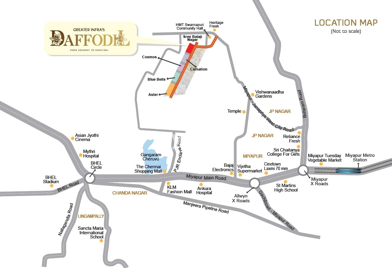 Greater Infra Daffodil