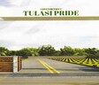 Greenmetros Tulasi Pride