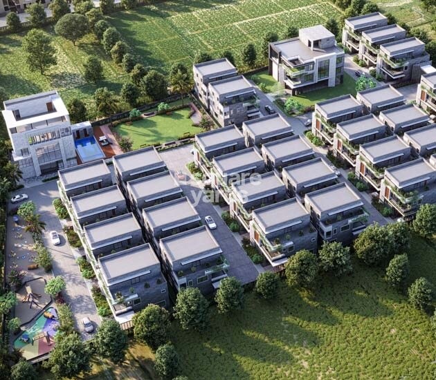 Grupe Tranquil Emerald