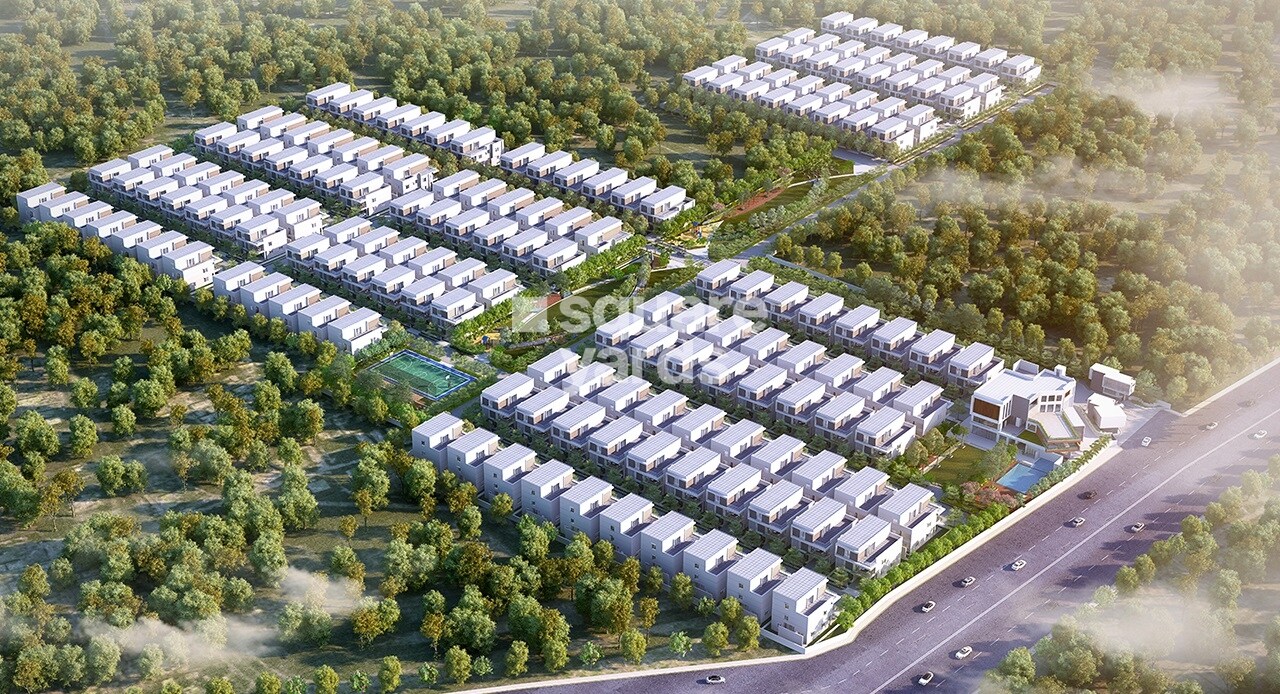 Hallmark County Tower View 1