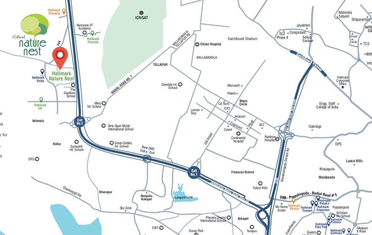 Hallmark Nature Nest