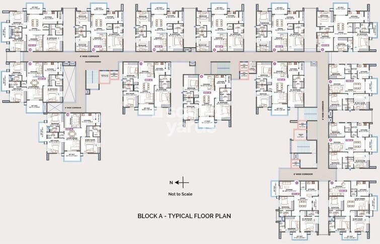 Hallmark Vicinia Floor Plans
