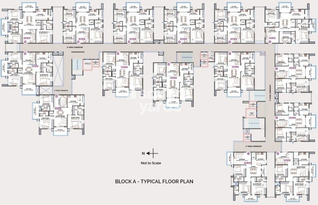 Hallmark Vicinia Floor Plans