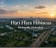 Hari Hara Hibiscus