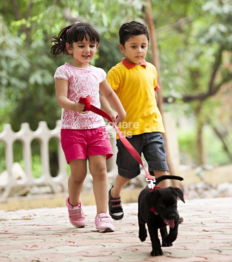 Haris Pranava Affluence