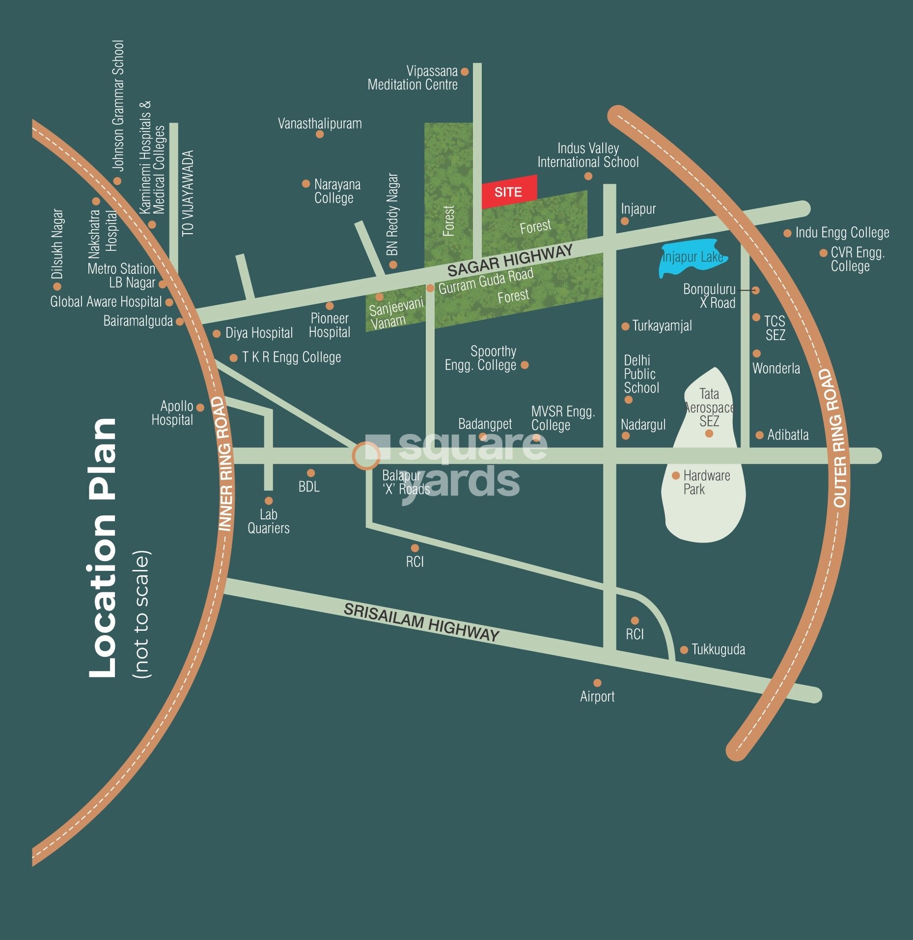 Highrise Forest Edge