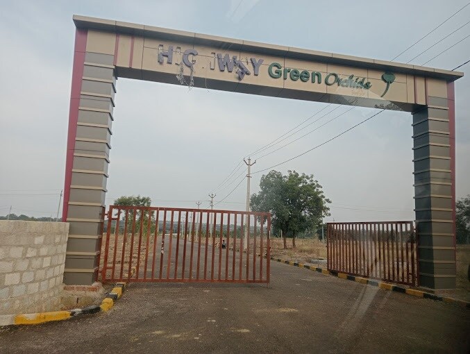 Highway Green Orchids