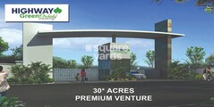 Highway Green Orchids