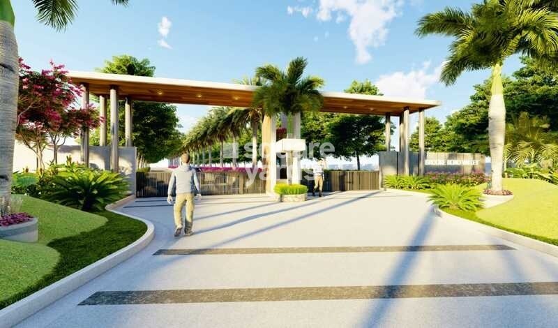 Hilland Brooke Bond Valley