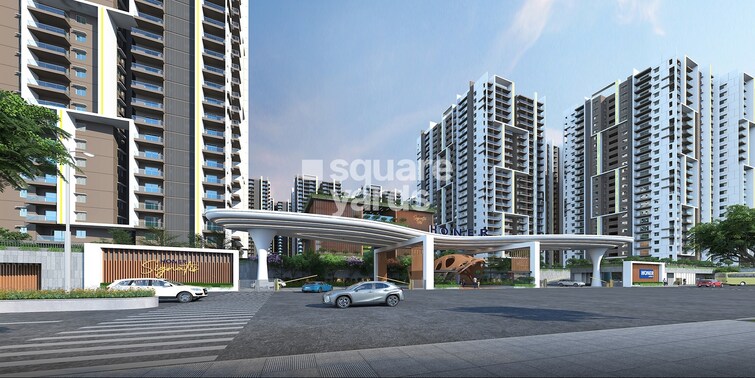 Honer Signatis Cover Image