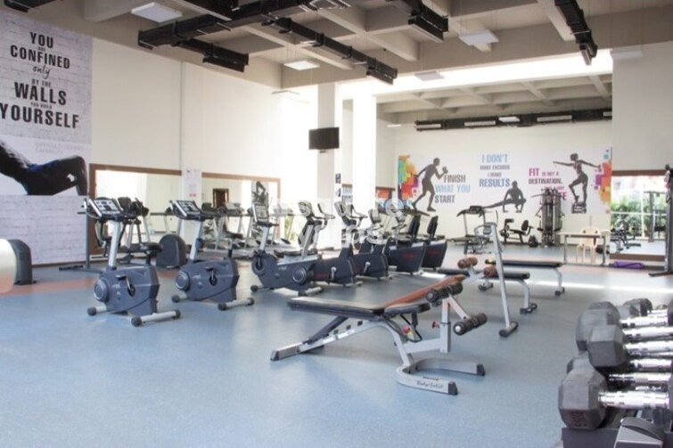 INDIS PBEL City Gymnasium Image