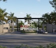 Indis Springdale