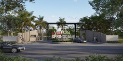 Indis Springdale
