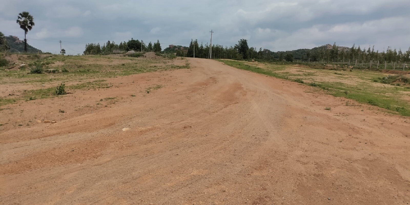 indo-orr-east-organica