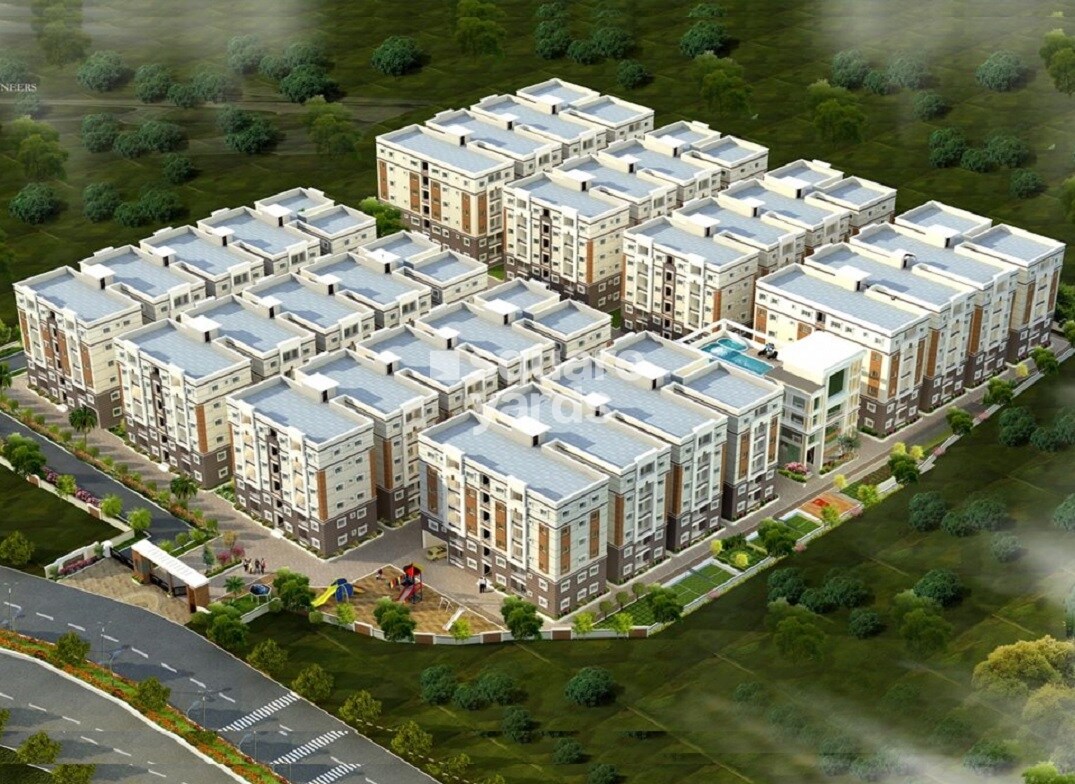 Representative image as actual visual unavailable for Jagsons Pride