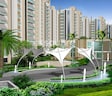 Jains Carlton Creek