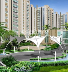Jains Carlton Creek Jains Carlton Creek