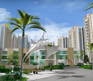 Jains Carlton Creek Tower View