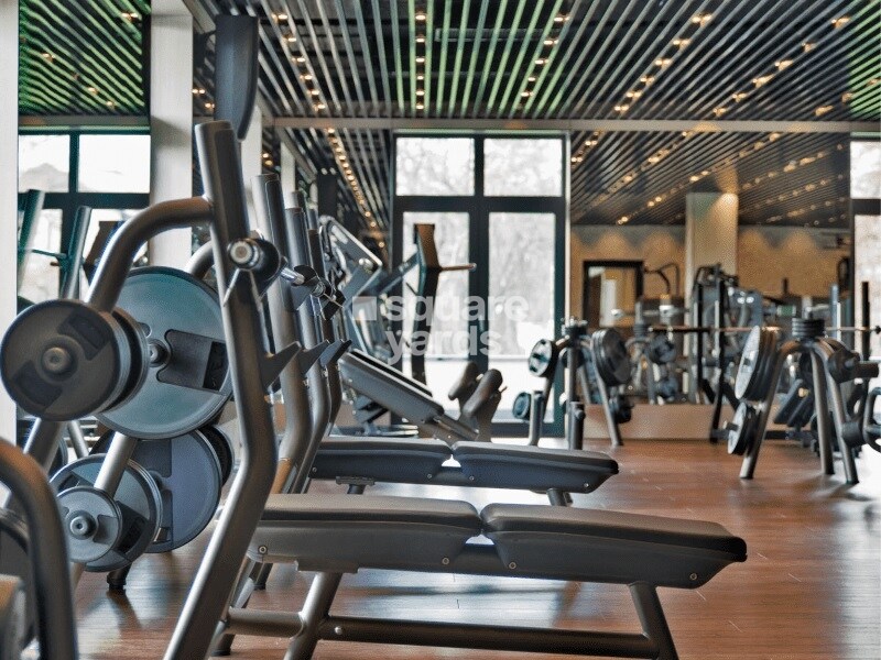 Janapriya Nile valley Gymnasium Image