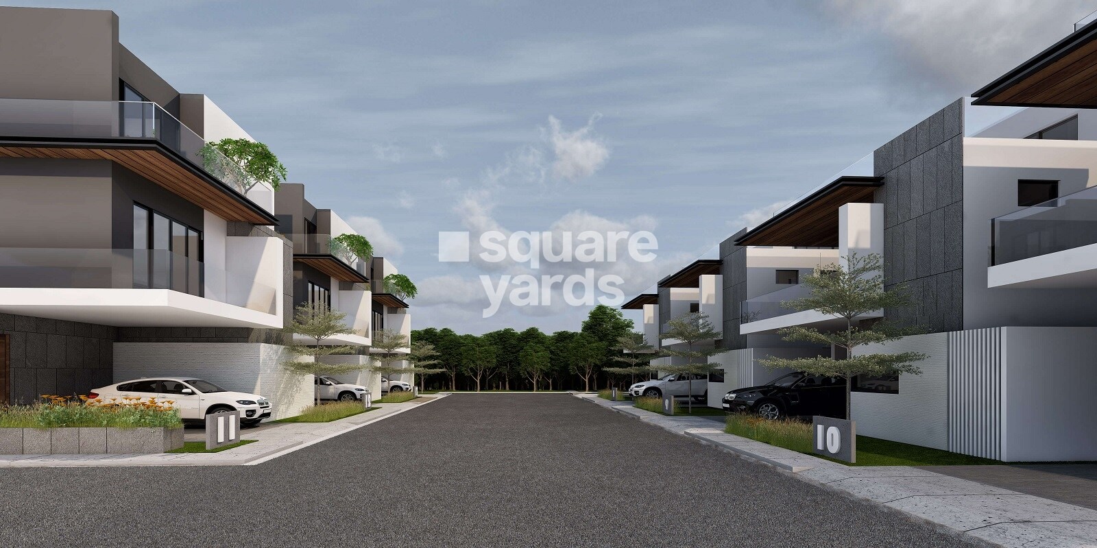 Kakatiya Mango Leaf Ext