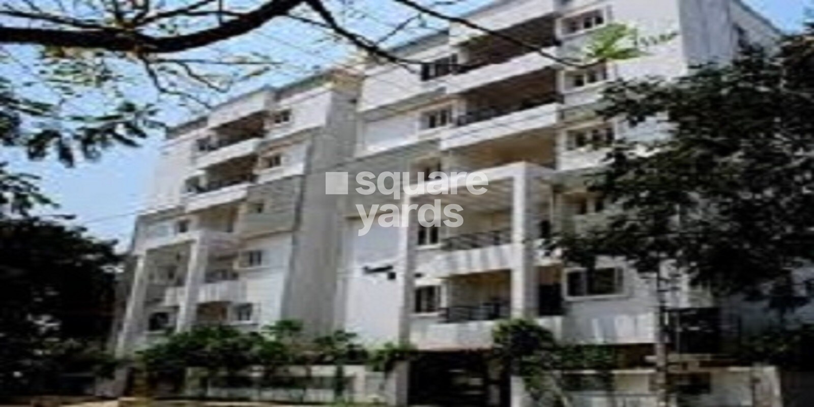 Kaushik Meadows