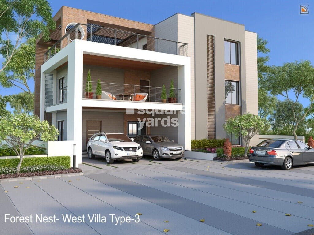 Kavuri Forest Nest Tower View