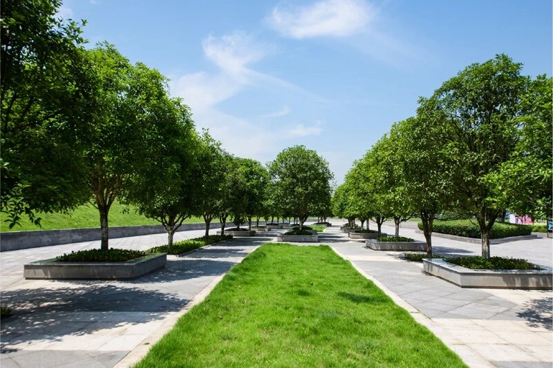 Kosalaa Plot Amenities-Features 5