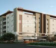 Legalas Doyen Ascent Flamingo