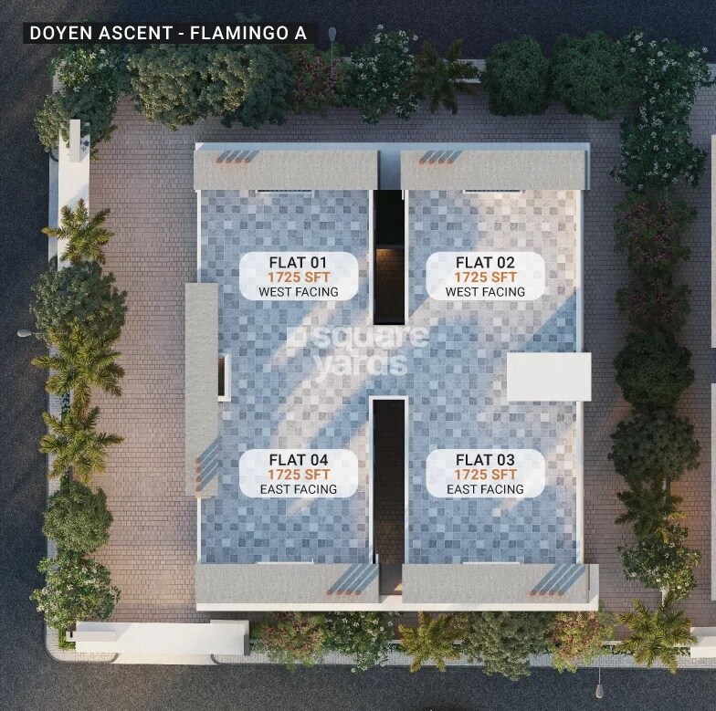 Legalas Doyen Ascent Flamingo