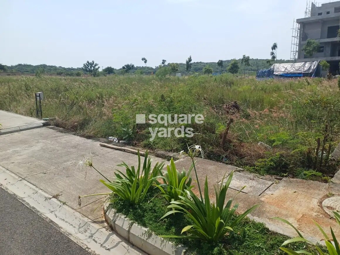 Representative image as actual visual unavailable for Manasa Hills