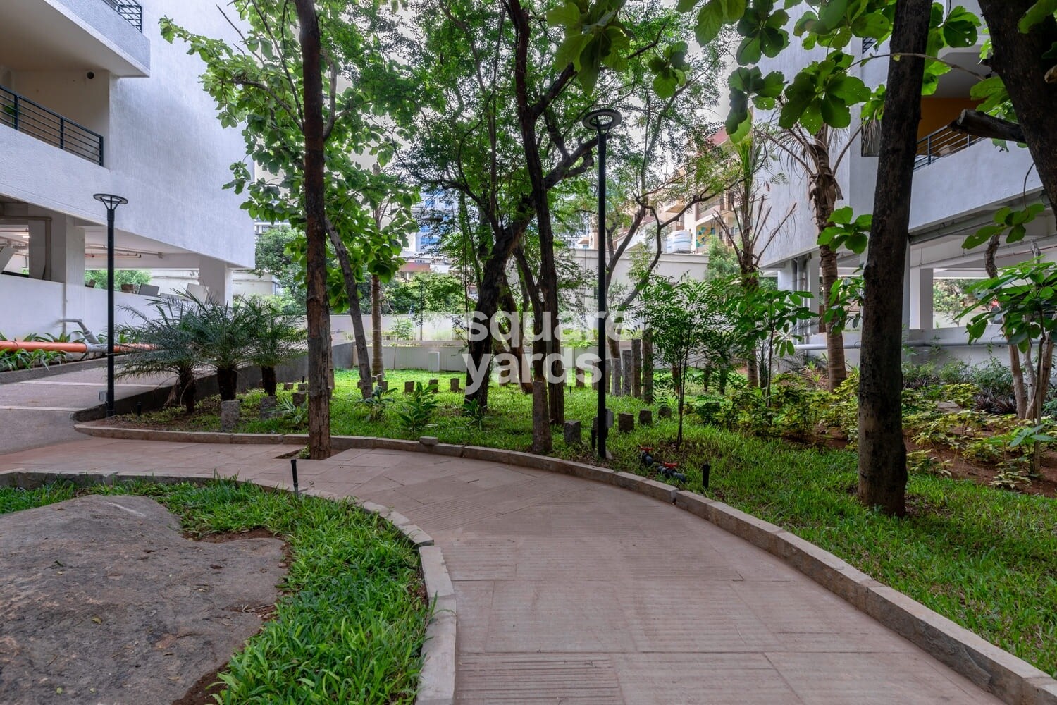 Manbhum Around The Grove