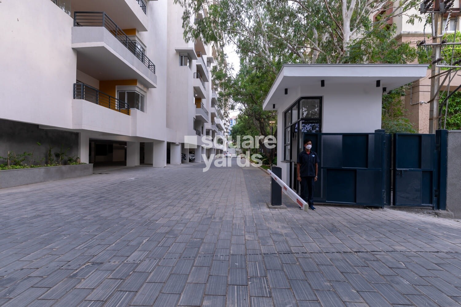 Manbhum Around The Grove Entrance View