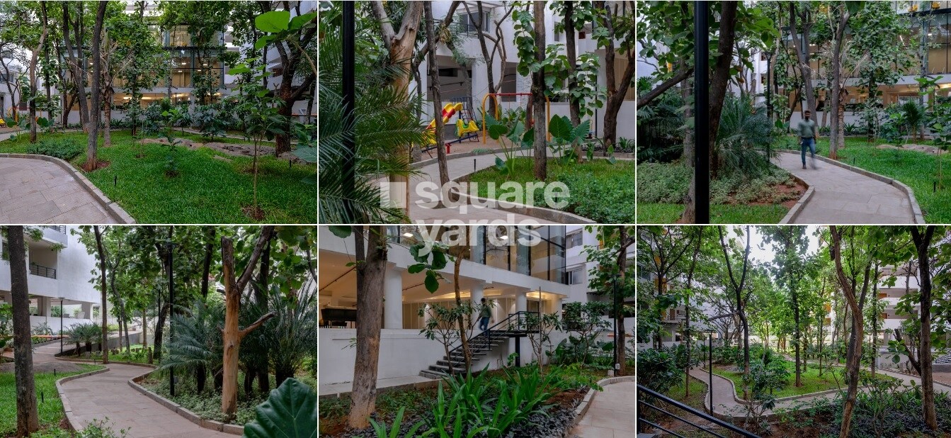 Manbhum Around The Grove Greens Image