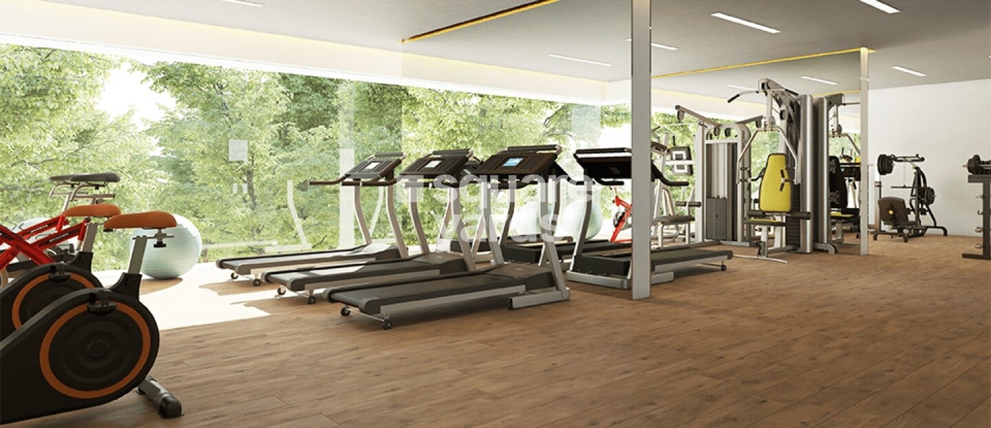 Manbhum Around The Grove Gymnasium Image