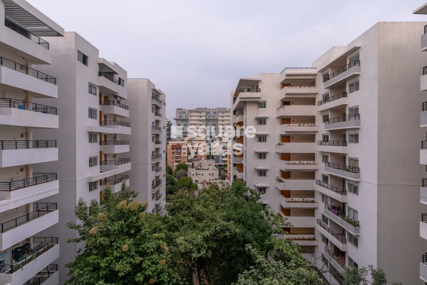 Manbhum Around The Grove